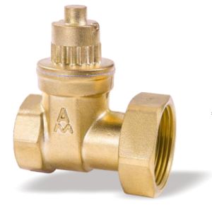 151黄铜磁性带锁止回闸阀 Z15W-16T