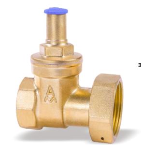 159黄铜带锁止回闸阀 Z15W-16T