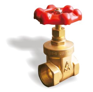 176黄铜足通径闸阀 Z15W-16T