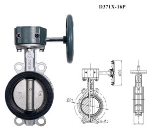 9819不锈钢蜗轮对夹蝶阀